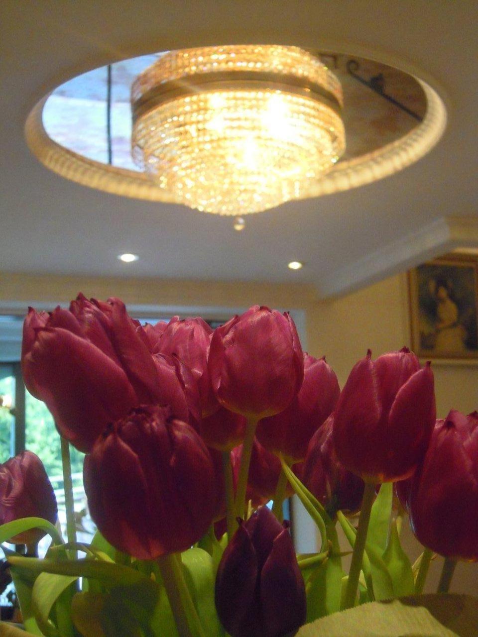 Garni Franca B&B Σέλβα ντι Βαλ Γκαρντένα Εξωτερικό φωτογραφία